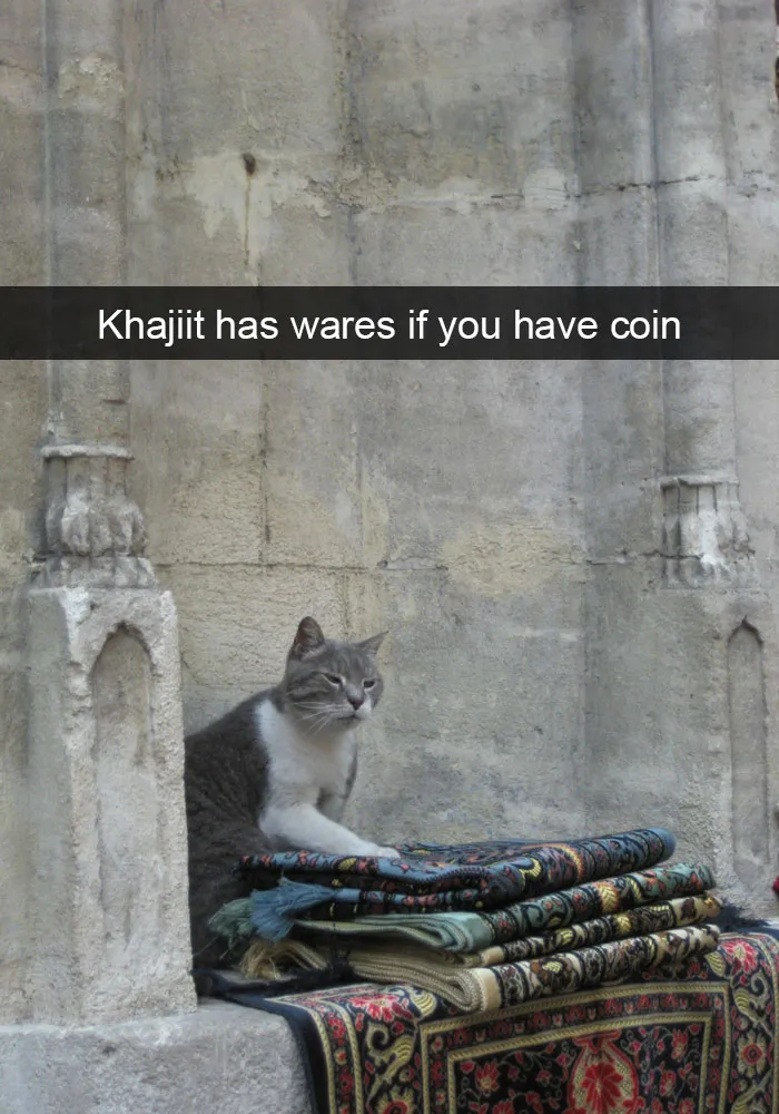 175 Hilarious Animal Snapchats Guaranteed To Make You Laugh Out Loud