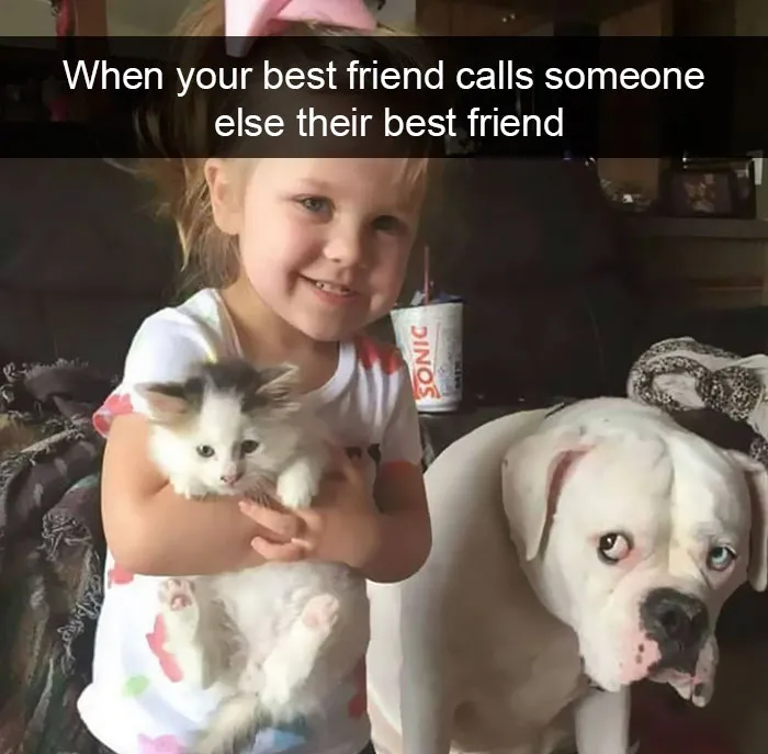 175 Hilarious Animal Snapchats Guaranteed To Make You Laugh Out Loud