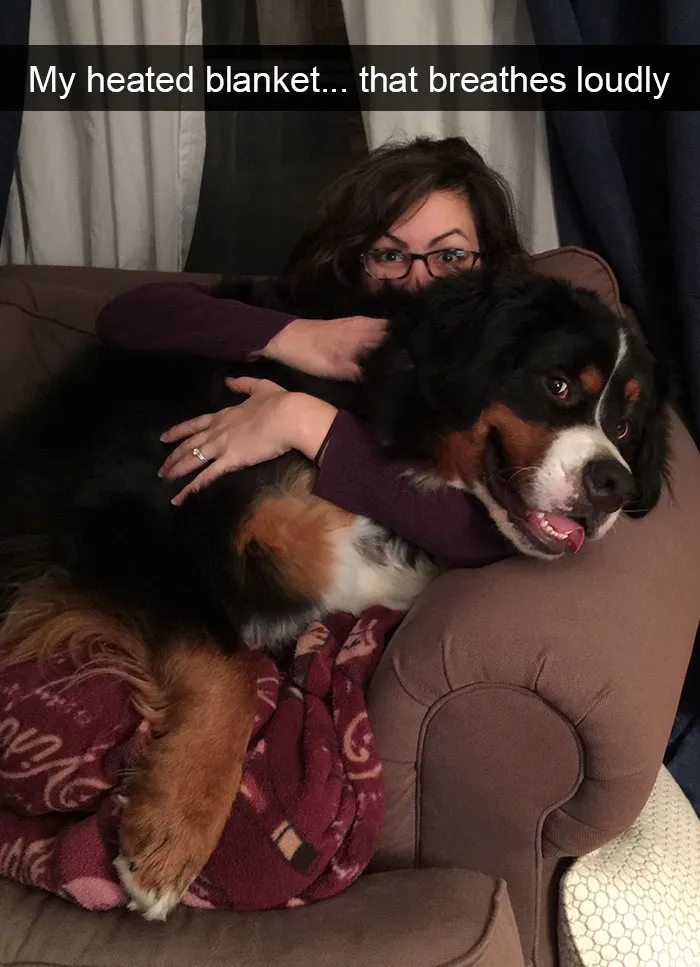 175 Hilarious Animal Snapchats Guaranteed To Make You Laugh Out Loud