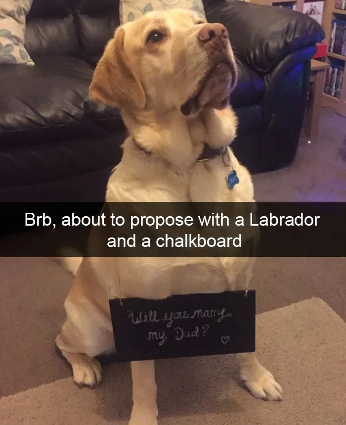 175 Hilarious Animal Snapchats Guaranteed To Make You Laugh Out Loud