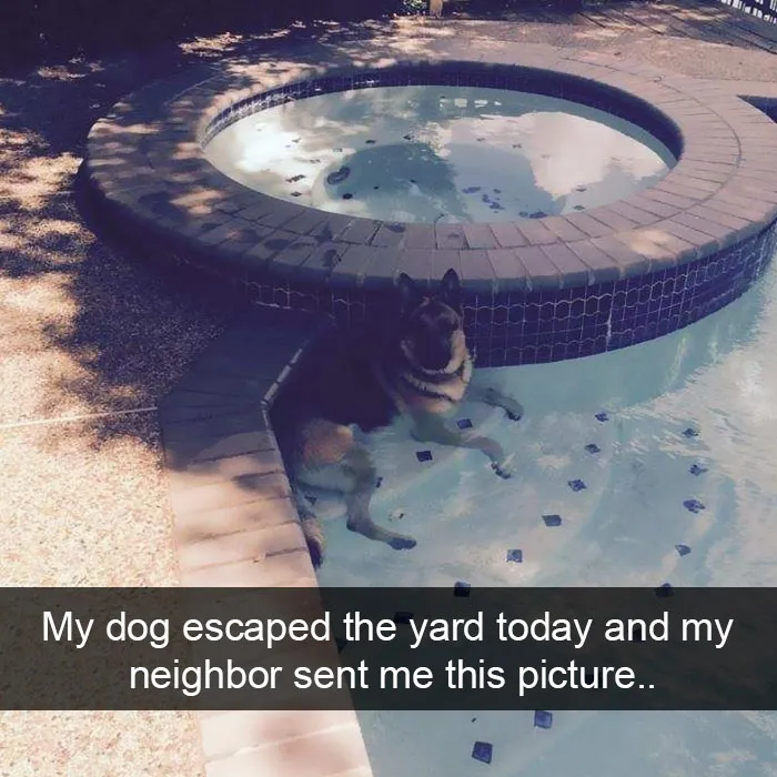 175 Hilarious Animal Snapchats Guaranteed To Make You Laugh Out Loud