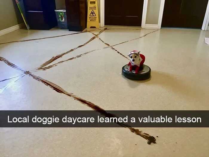 175 Hilarious Animal Snapchats Guaranteed To Make You Laugh Out Loud