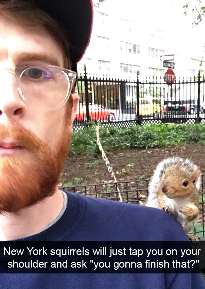 175 Hilarious Animal Snapchats Guaranteed To Make You Laugh Out Loud