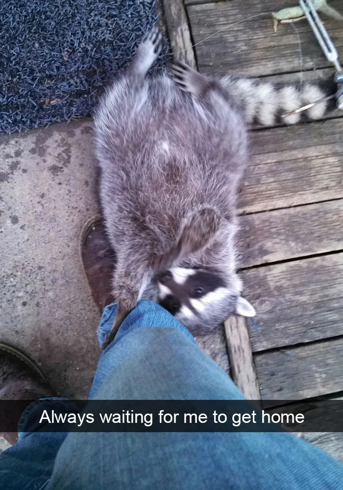 175 Hilarious Animal Snapchats Guaranteed To Make You Laugh Out Loud