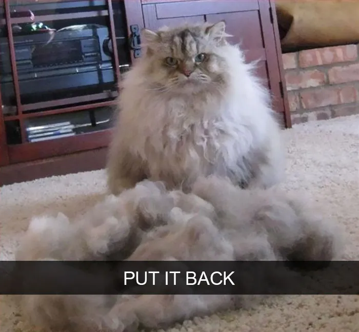 175 Hilarious Animal Snapchats Guaranteed To Make You Laugh Out Loud