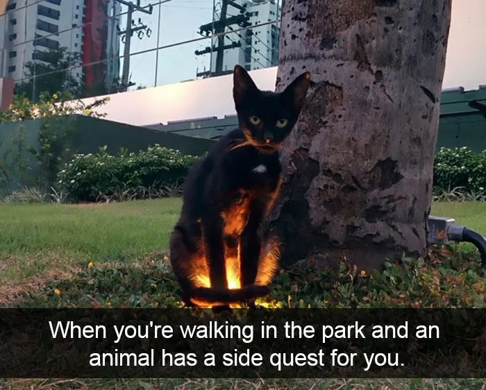175 Hilarious Animal Snapchats Guaranteed To Make You Laugh Out Loud