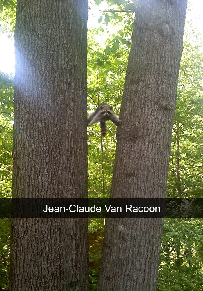 175 Hilarious Animal Snapchats Guaranteed To Make You Laugh Out Loud