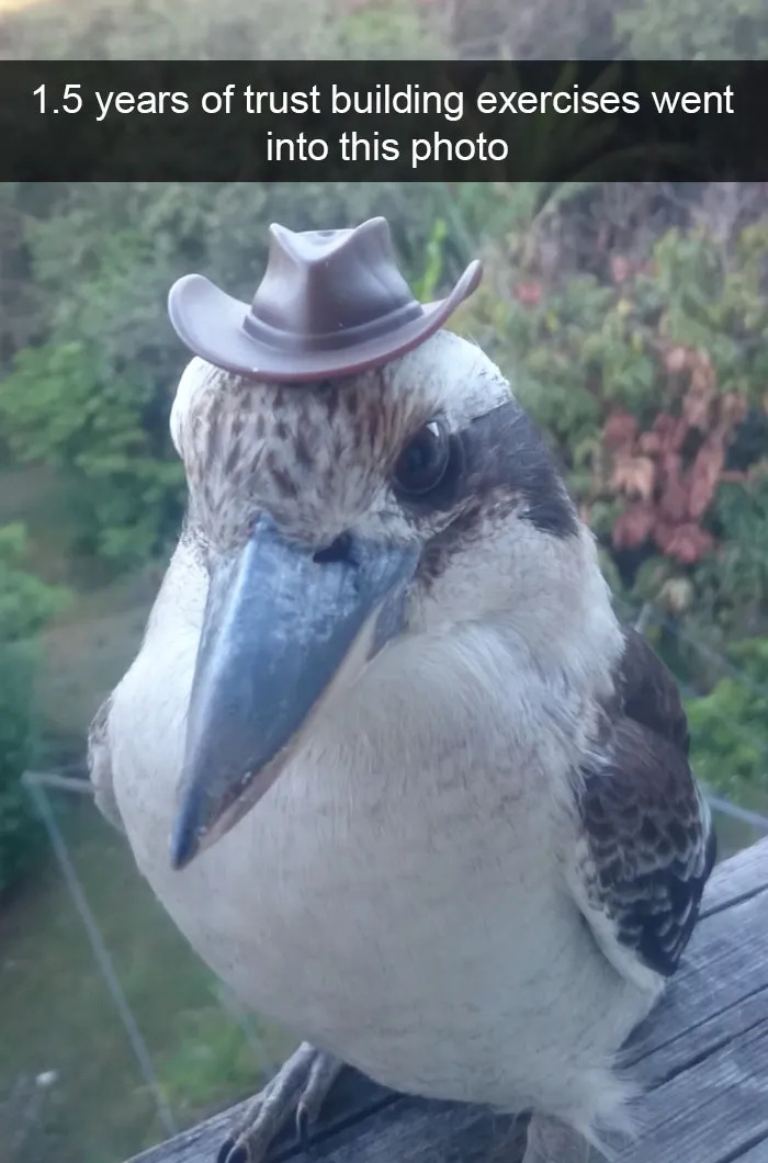 175 Hilarious Animal Snapchats Guaranteed To Make You Laugh Out Loud