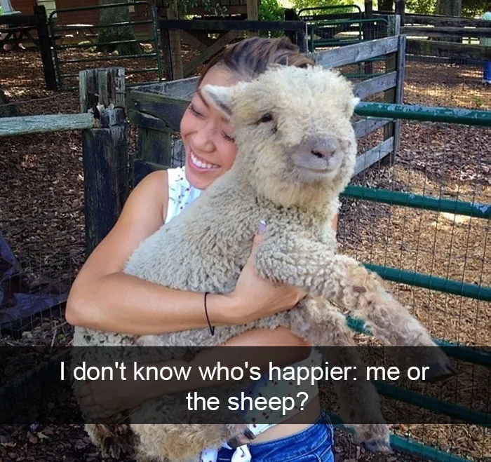 175 Hilarious Animal Snapchats Guaranteed To Make You Laugh Out Loud