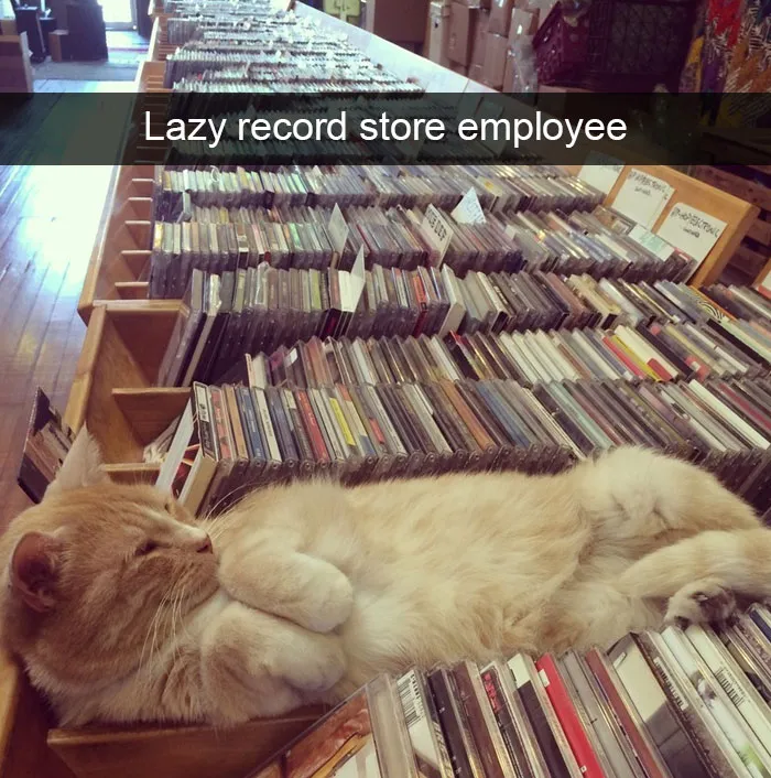 175 Hilarious Animal Snapchats Guaranteed To Make You Laugh Out Loud