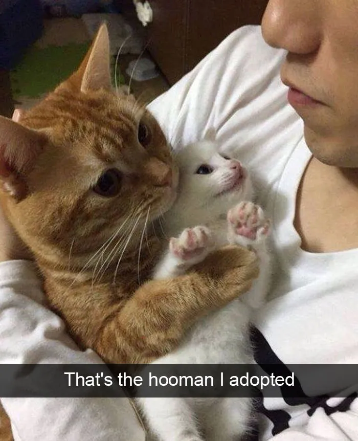 175 Hilarious Animal Snapchats Guaranteed To Make You Laugh Out Loud