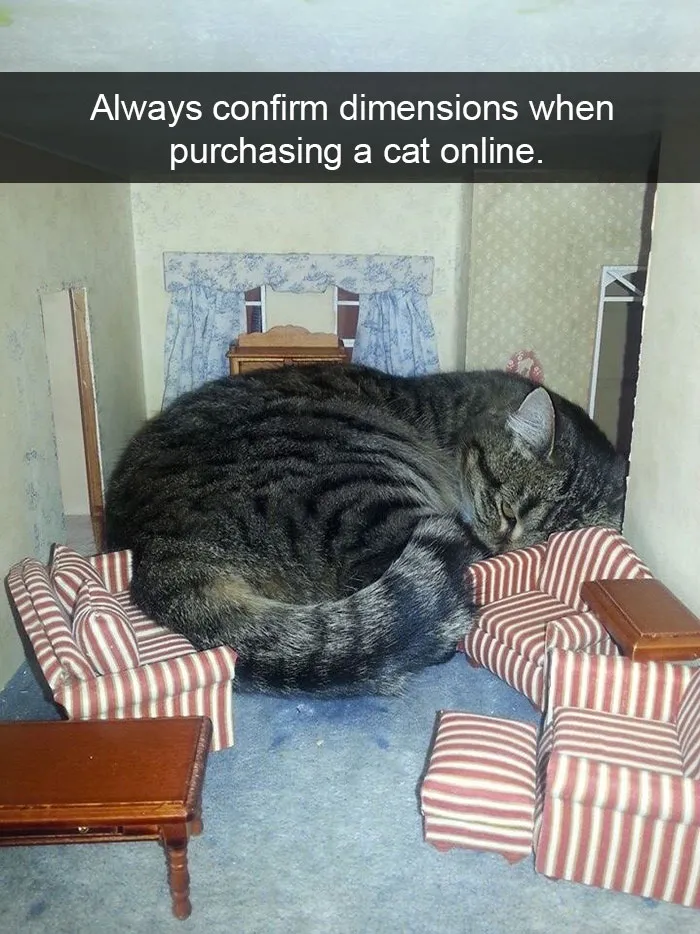 175 Hilarious Animal Snapchats Guaranteed To Make You Laugh Out Loud