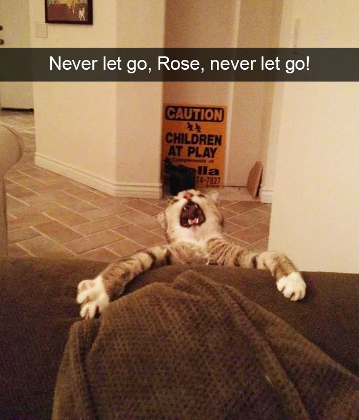 175 Hilarious Animal Snapchats Guaranteed To Make You Laugh Out Loud