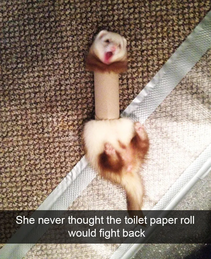 175 Hilarious Animal Snapchats Guaranteed To Make You Laugh Out Loud