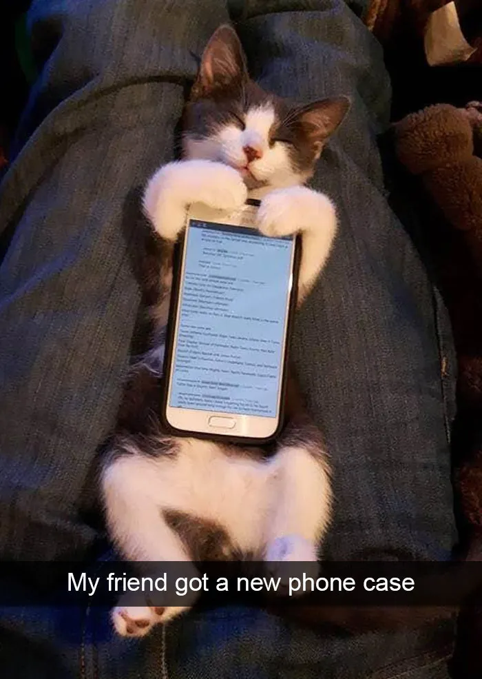 175 Hilarious Animal Snapchats Guaranteed To Make You Laugh Out Loud