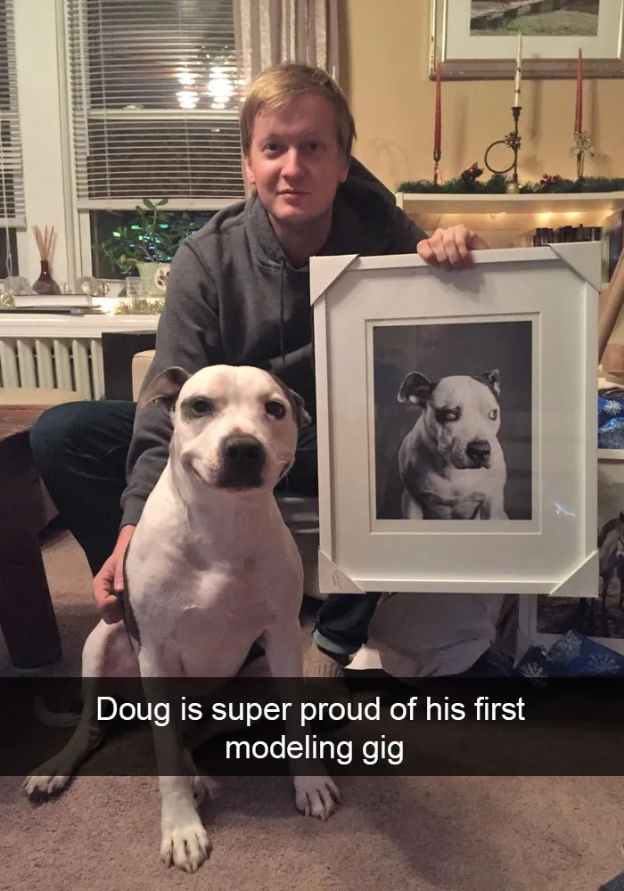 175 Hilarious Animal Snapchats Guaranteed To Make You Laugh Out Loud