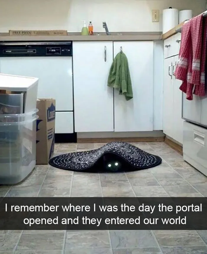 175 Hilarious Animal Snapchats Guaranteed To Make You Laugh Out Loud