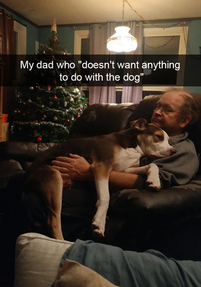 175 Hilarious Animal Snapchats Guaranteed To Make You Laugh Out Loud