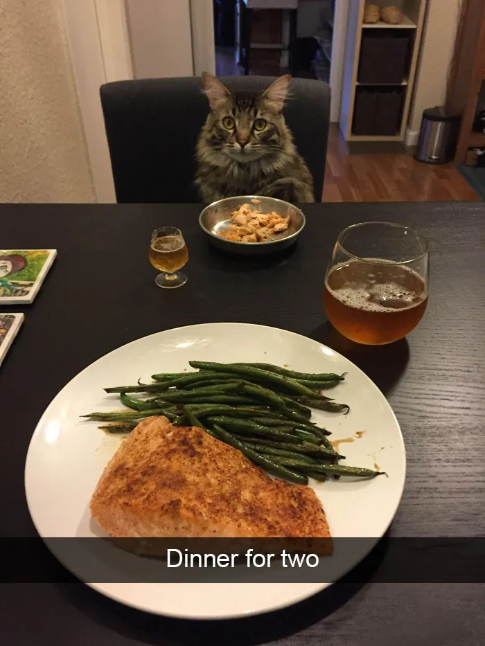 175 Hilarious Animal Snapchats Guaranteed To Make You Laugh Out Loud