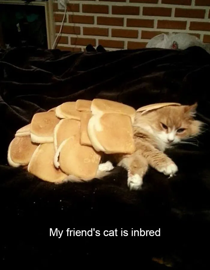 175 Hilarious Animal Snapchats Guaranteed To Make You Laugh Out Loud