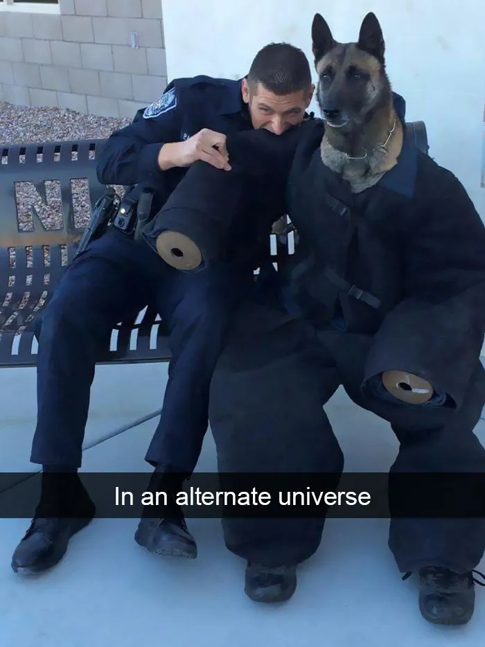175 Hilarious Animal Snapchats Guaranteed To Make You Laugh Out Loud