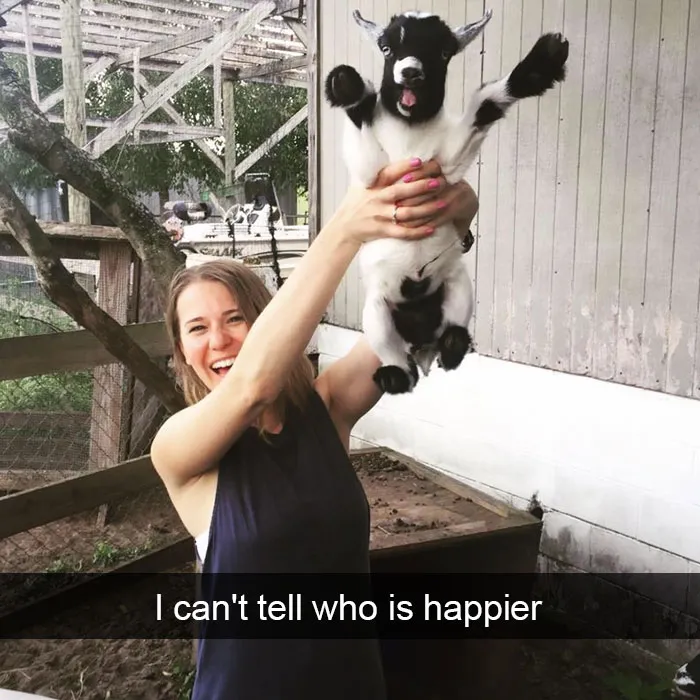 175 Hilarious Animal Snapchats Guaranteed To Make You Laugh Out Loud
