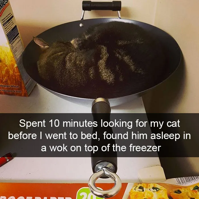 175 Hilarious Animal Snapchats Guaranteed To Make You Laugh Out Loud