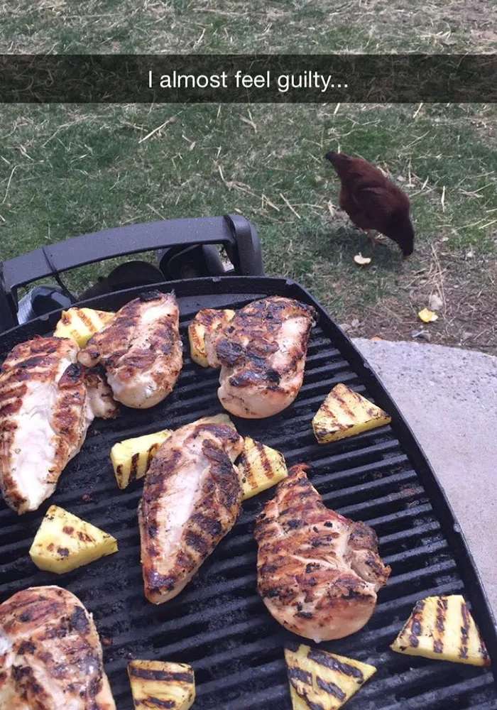 175 Hilarious Animal Snapchats Guaranteed To Make You Laugh Out Loud