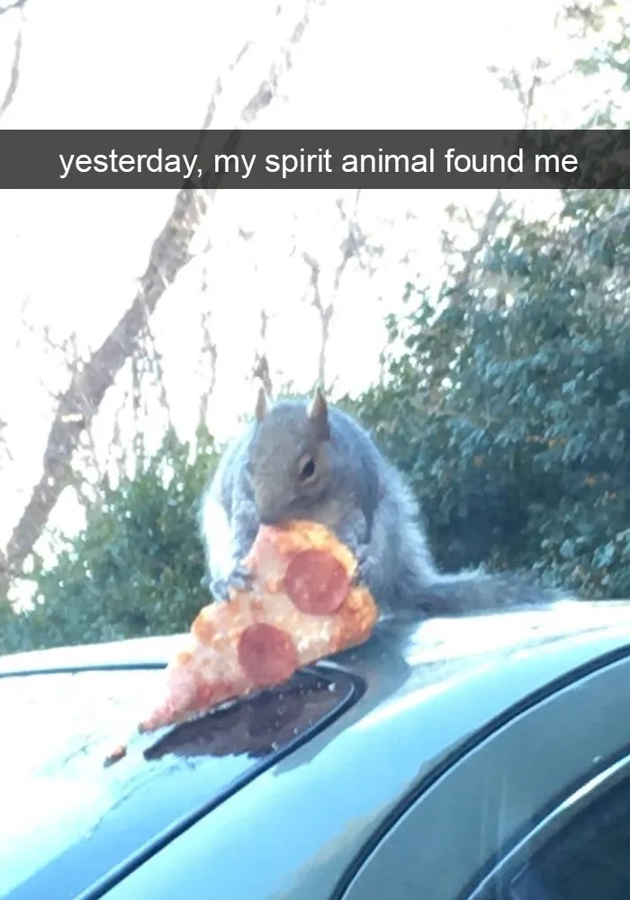 175 Hilarious Animal Snapchats Guaranteed To Make You Laugh Out Loud
