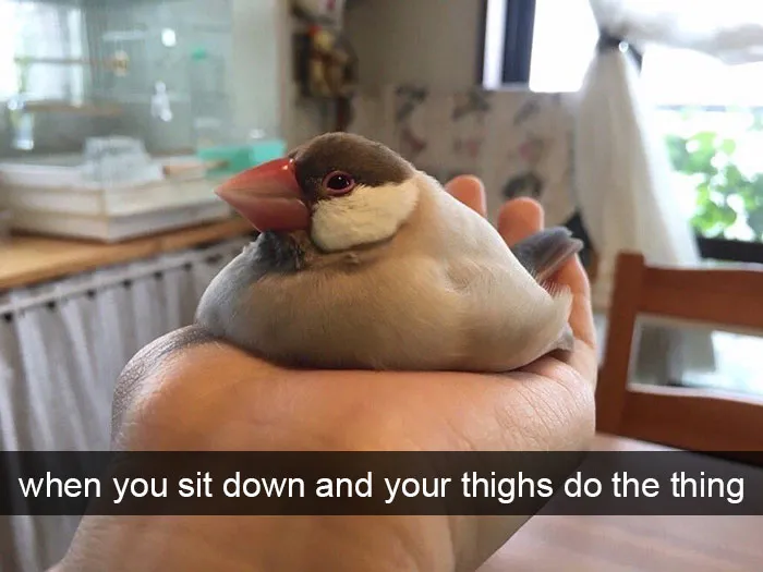 175 Hilarious Animal Snapchats Guaranteed To Make You Laugh Out Loud