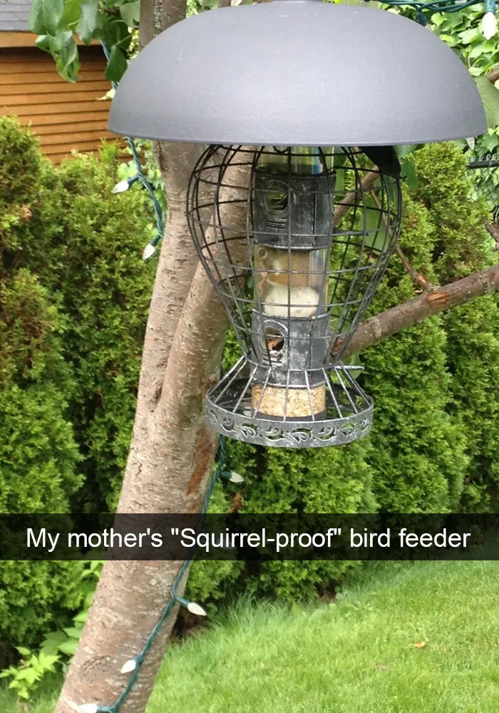 175 Hilarious Animal Snapchats Guaranteed To Make You Laugh Out Loud