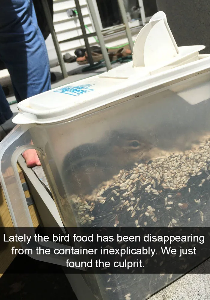 175 Hilarious Animal Snapchats Guaranteed To Make You Laugh Out Loud