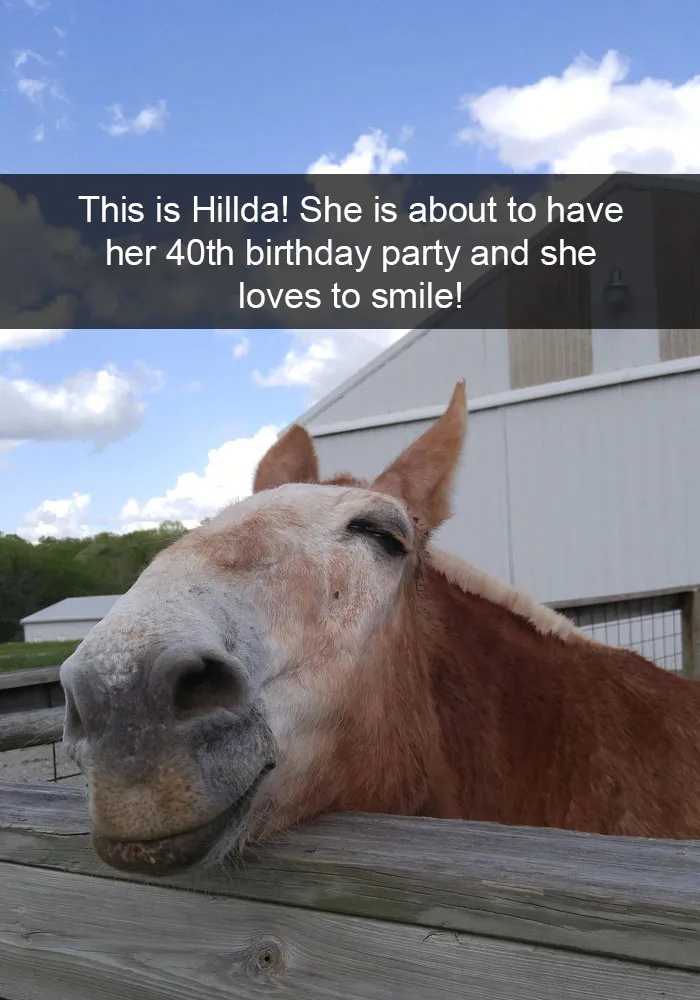 175 Hilarious Animal Snapchats Guaranteed To Make You Laugh Out Loud