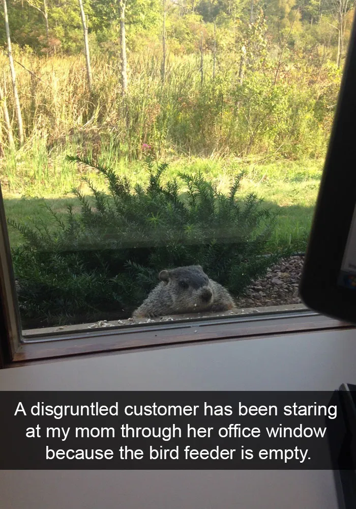 175 Hilarious Animal Snapchats Guaranteed To Make You Laugh Out Loud