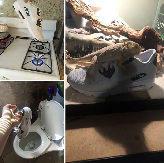 Ordered New Sneakers, Asked Little Brother For Pics While I'm At Work