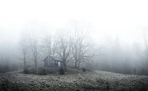 I Kept Chasing Fog In The Swedish Nature. 13 Images.