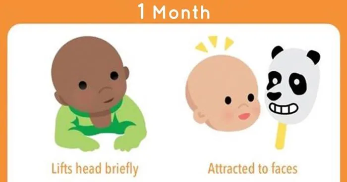 Baby Development Checklist During The First Year