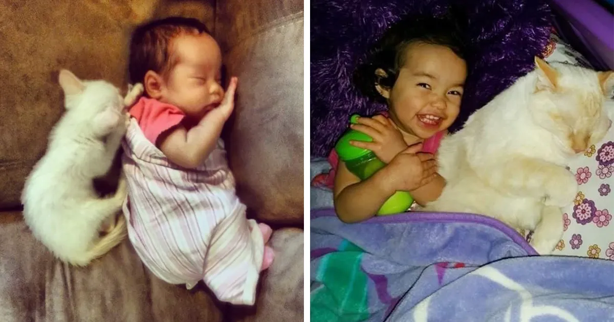 Esta niña duerme con su gato desde el día en que se conocieron