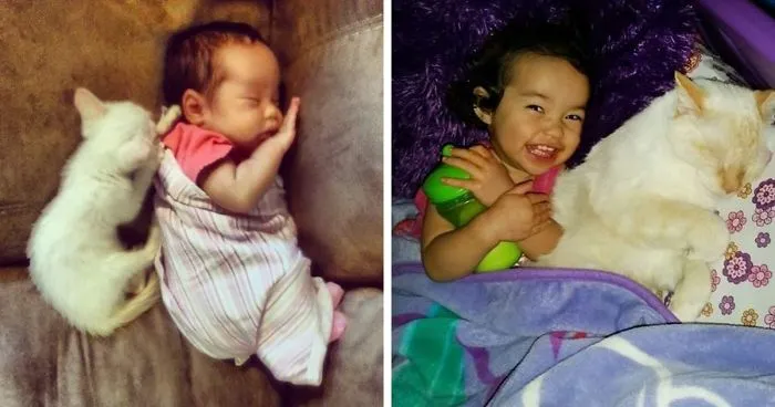 Girl Sleeps Together With Her Kitty From The First Day They Met