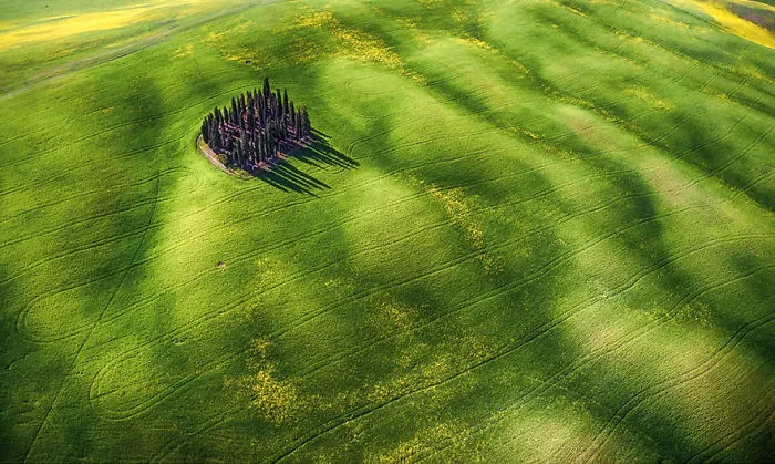 Green Waves, Second Prize In Enthusiast Beauty Category
