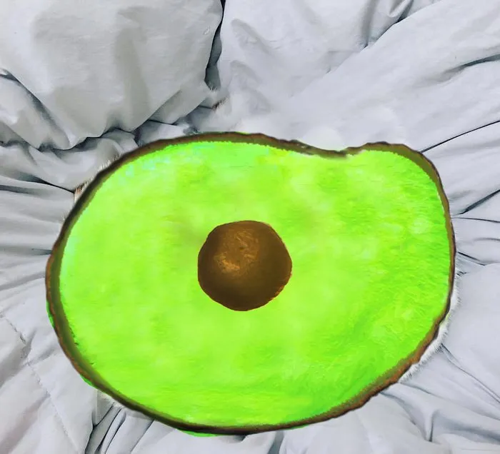 Avacato