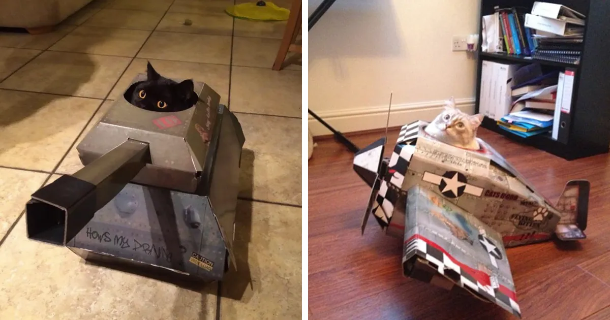 Esta compañía hace tanques, aviones y casas de cartón para gatos