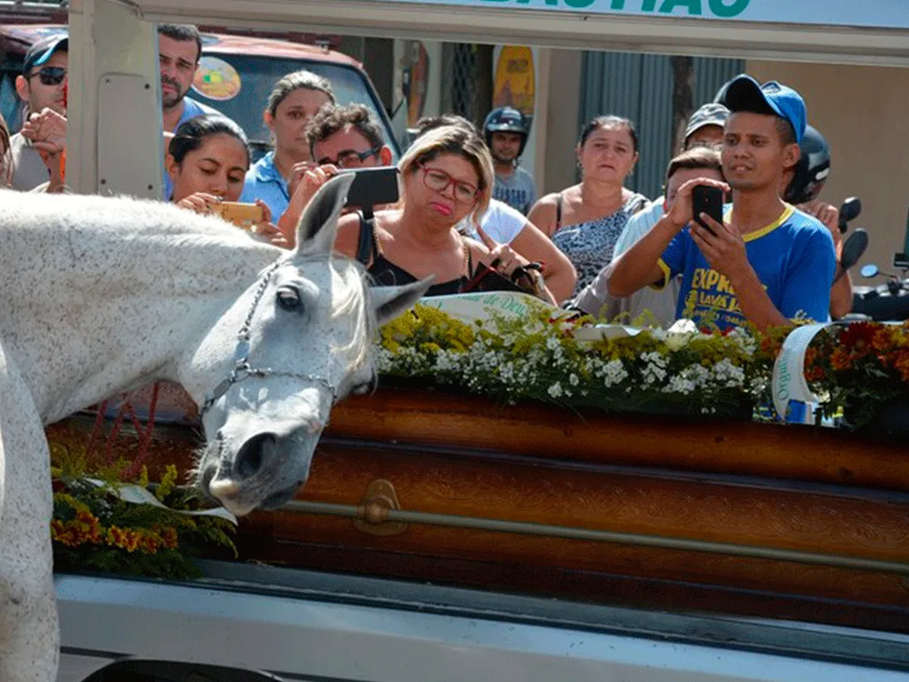 Horse Touches Cowboy Family Killed After 'bidding Farewell' To Owner In Paraiba-Brazil