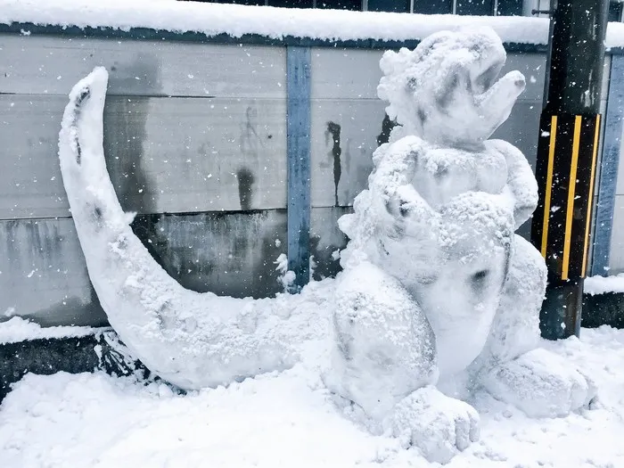 What Happens When Heavy Snowfall Hits Japan