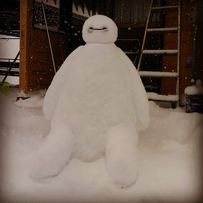 What Happens When Heavy Snowfall Hits Japan