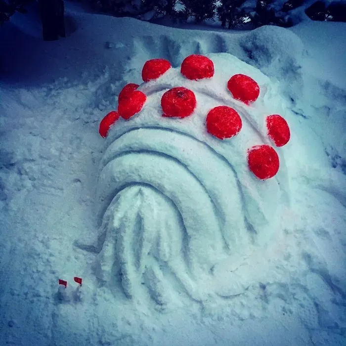What Happens When Heavy Snowfall Hits Japan