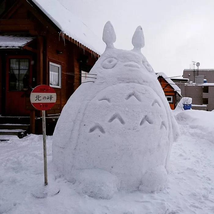 What Happens When Heavy Snowfall Hits Japan