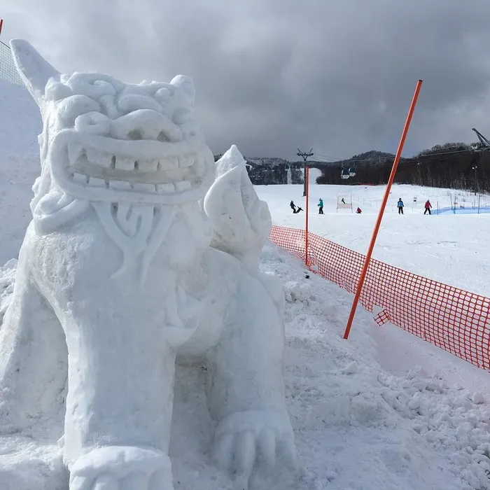 What Happens When Heavy Snowfall Hits Japan