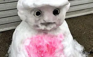 What Happens When Heavy Snowfall Hits Japan