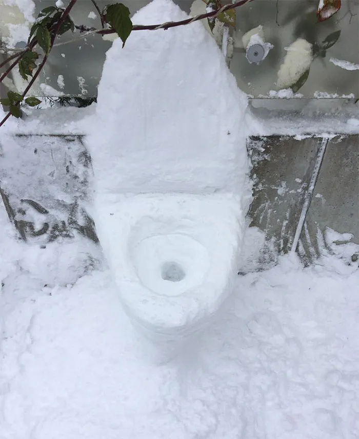 What Happens When Heavy Snowfall Hits Japan